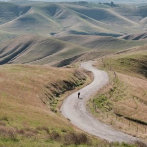 Giant TCR Advanced Pro Disc (2021) - Roe Valley Cycles