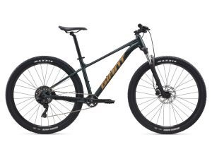Giant Talon 2 Mountain Bike - 2025 - Roe Valley Cycles