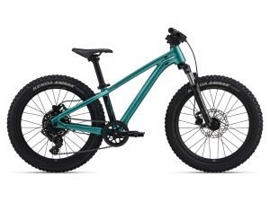 Giant STP 20 Kids Bike - 2026 - Roe Valley Cycles